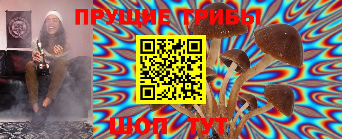 Галлюциногенные грибы Magic Shrooms  Вход с VPN  Коломна  Галлюциногенные грибы Psilocybine cubensis 